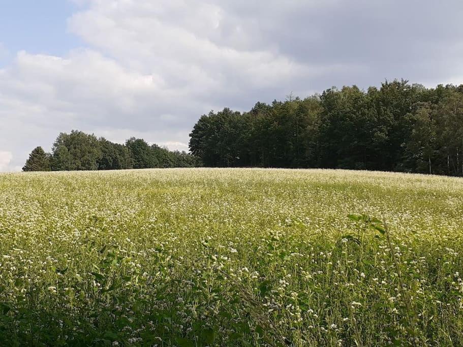 סבניץ Schoene Und Ruhige Ferienwohnung In Ottendorf מראה חיצוני תמונה