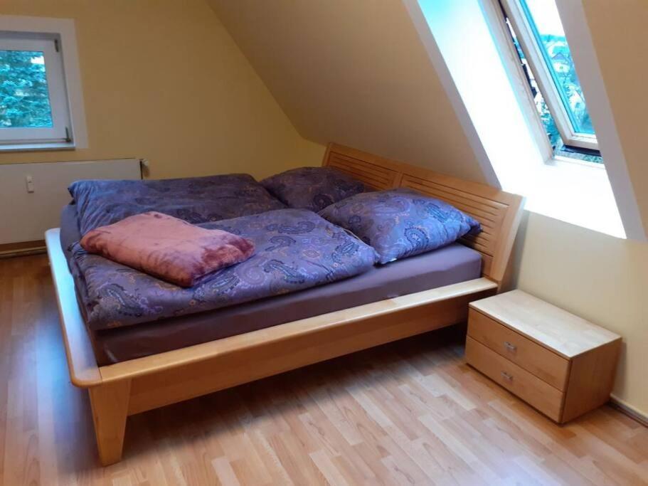 סבניץ Schoene Und Ruhige Ferienwohnung In Ottendorf מראה חיצוני תמונה
