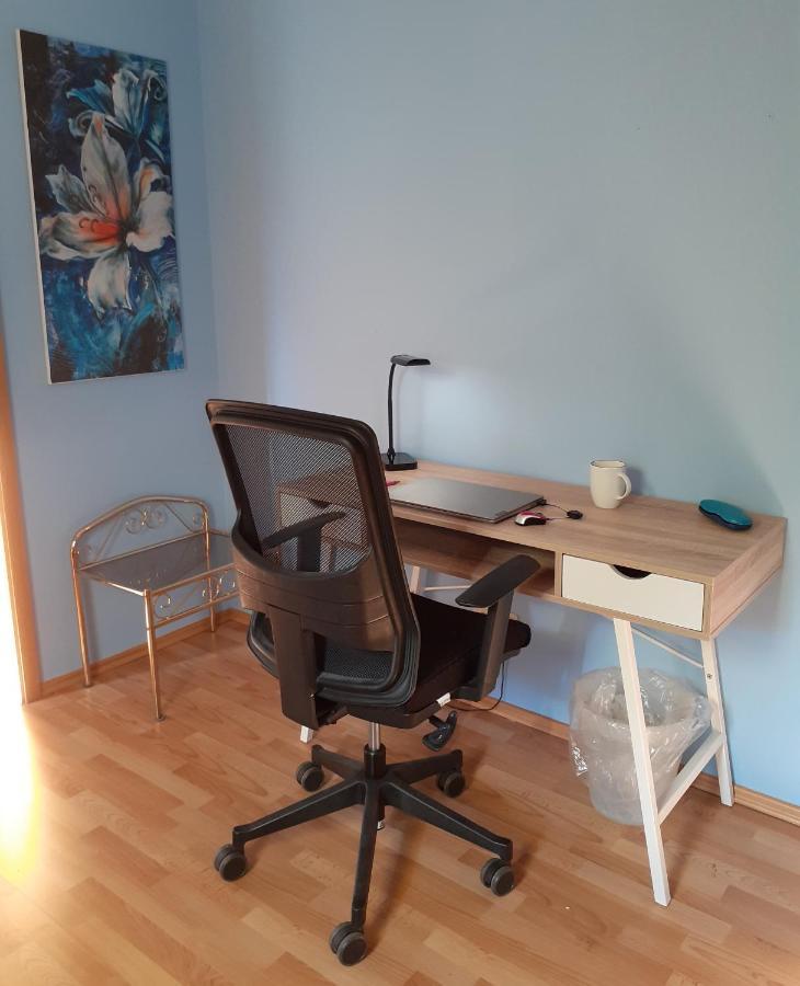 סבניץ Schoene Und Ruhige Ferienwohnung In Ottendorf מראה חיצוני תמונה